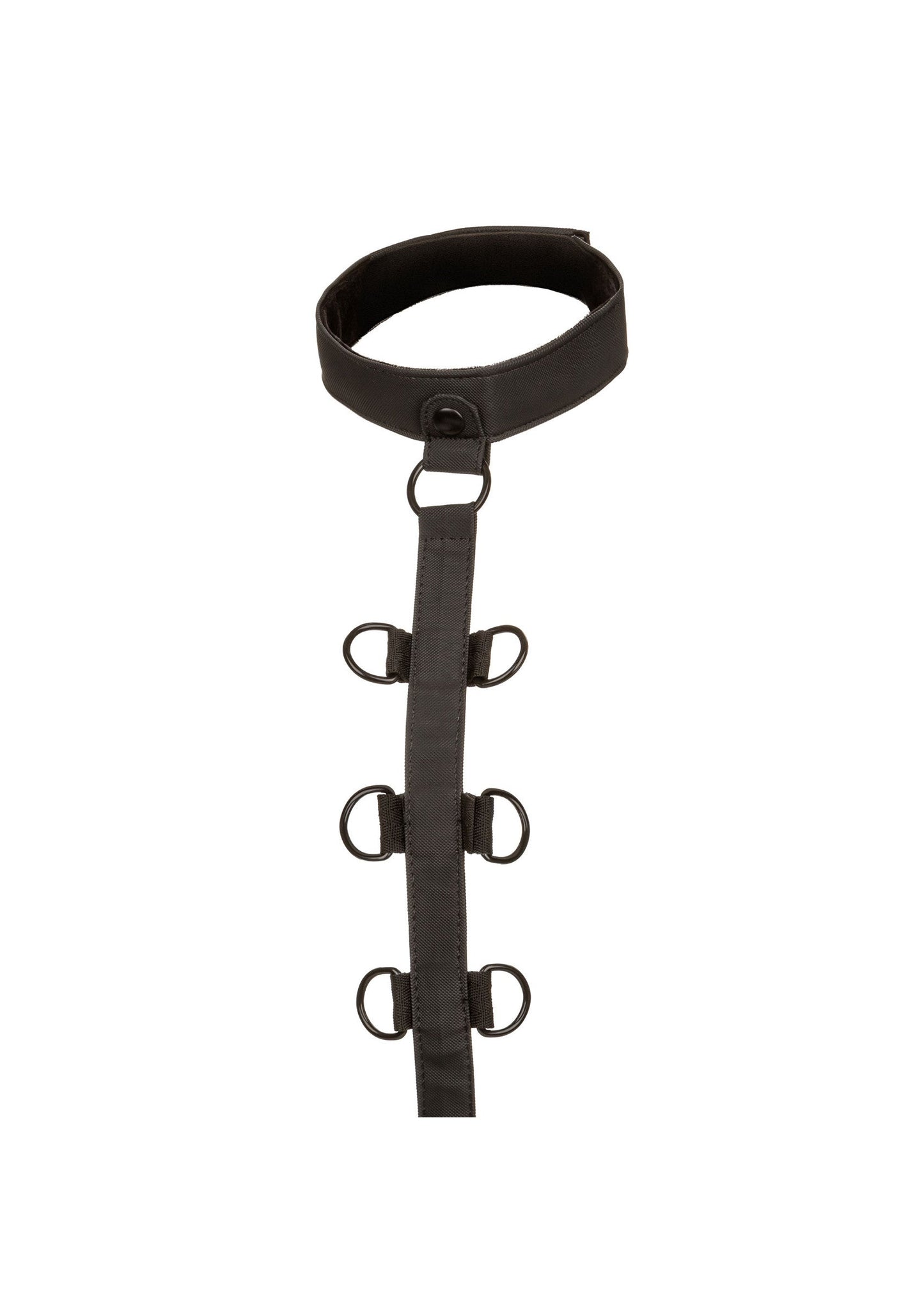 Boundless Collar Restraint - Adjustable Collar with Leash - Black
