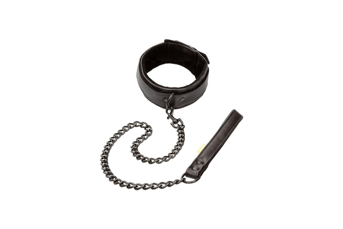 Accesorii de bondage pentru începători, inclusiv zgardă, lesă și restricții ușor de controlat, prezentate într-un context educațional