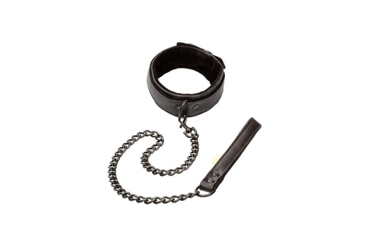 Accesorii de bondage pentru începători, inclusiv zgardă, lesă și restricții ușor de controlat, prezentate într-un context educațional