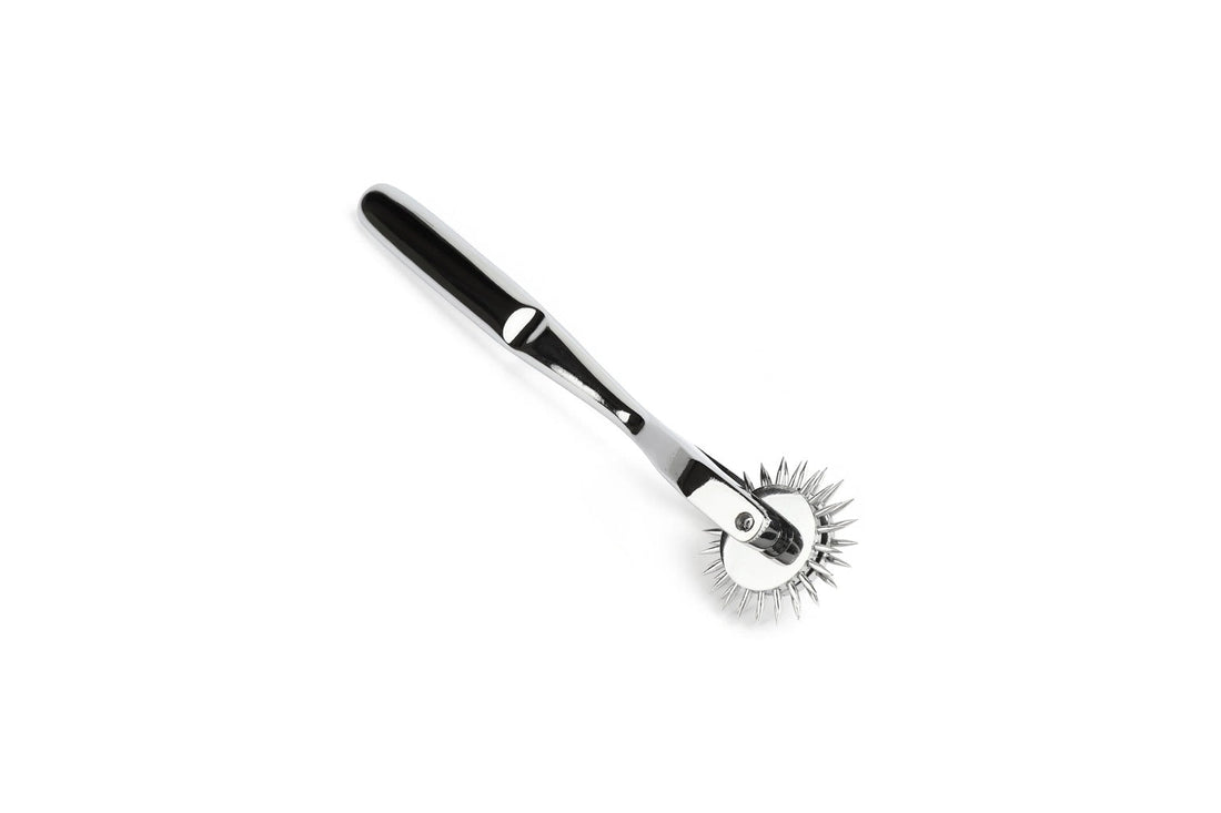Instrument senzorial Wartenberg Pinwheel din oțel inoxidabil pentru teasing și joc senzorial beginner-friendly
