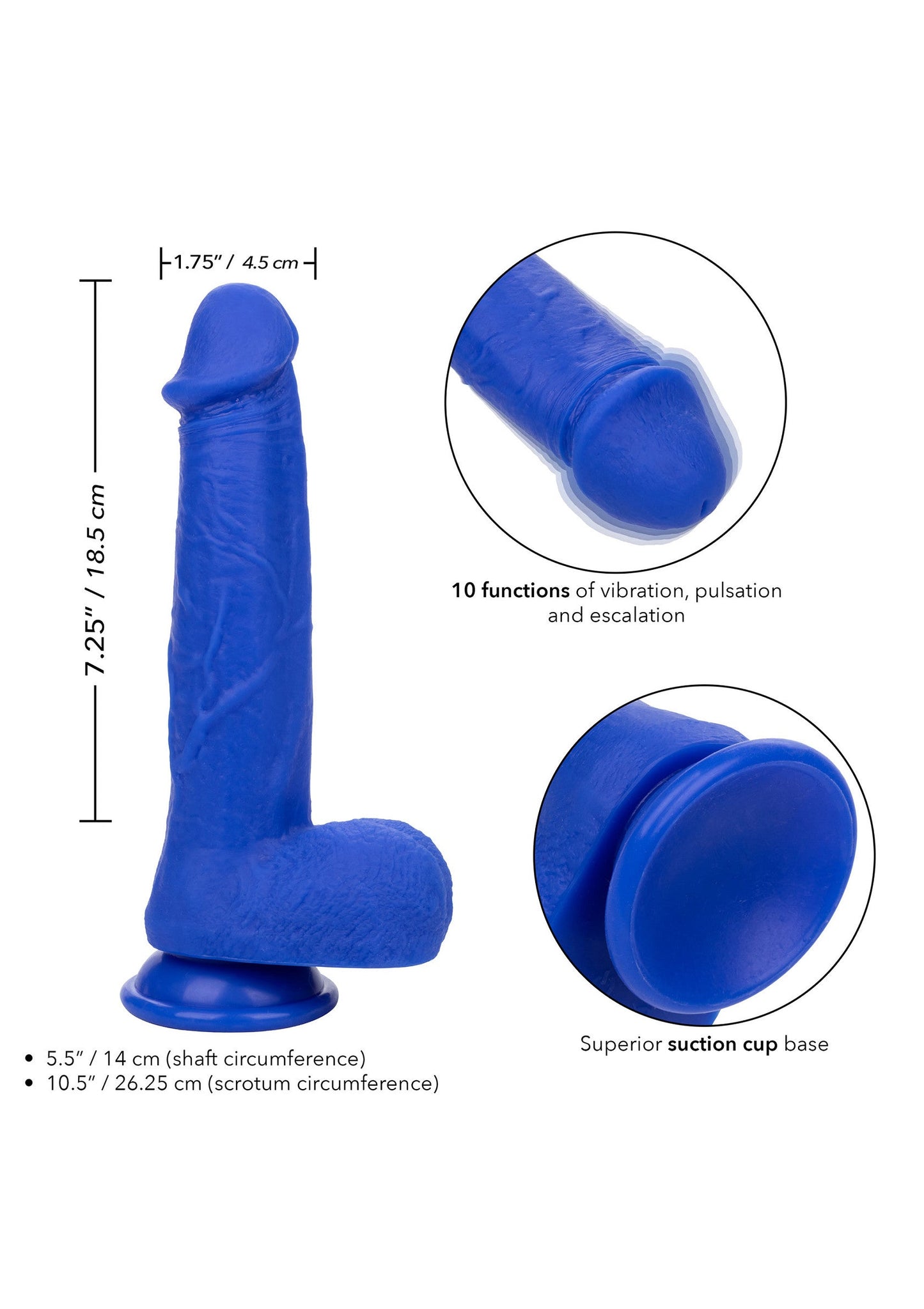 Admiral 8" Vibrating Captain - Realistic Vibrating Dildo - Blue